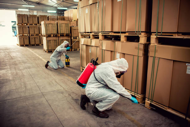 Best Bed Bug Extermination  in Vale, OR