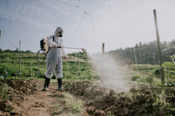 Professional Pest Control in Vale, OR