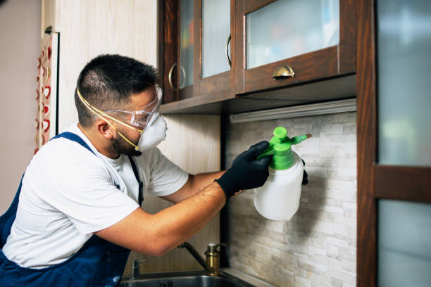 Best Emergency Pest Control  in Vale, OR