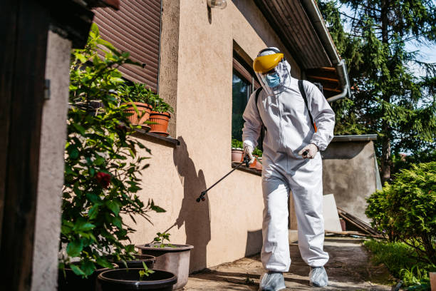 Best Rat Extermination Near Me  in Vale, OR