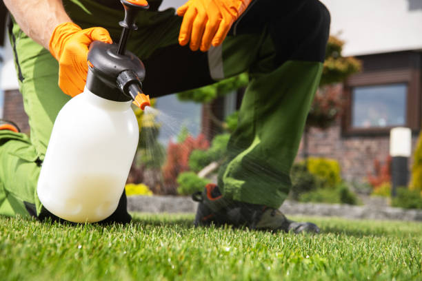 Best Cockroach Control Services  in Vale, OR