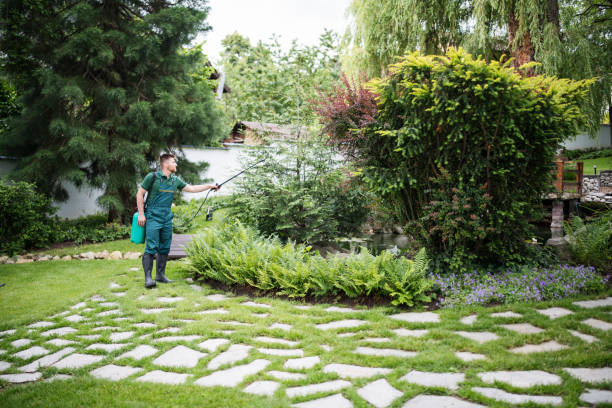 Best Best Pest Control Companies  in Vale, OR