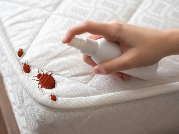 Best Local Pest Control Services  in Vale, OR