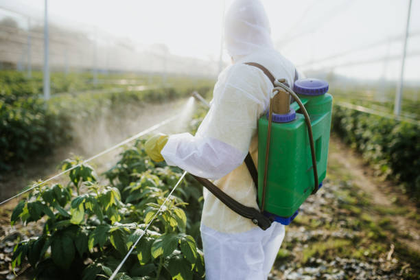 Best Mosquito Control Services  in Vale, OR